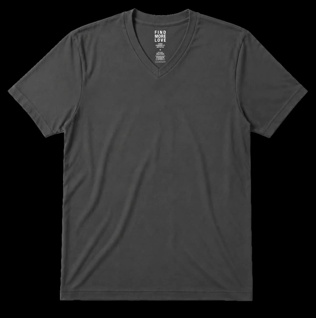 Softstyle V Neck Tee
